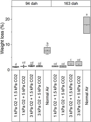 Quality Evolution and Aroma Profile of Pointed Cabbage in Different Storage Regimes